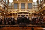 VIENNA Strings Orchestra